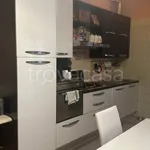 Rent 2 bedroom apartment of 54 m² in Torino