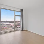 Rent 1 bedroom apartment in New York City