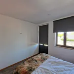 Alugar 1 quarto apartamento em Porto