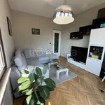 Rent 3 bedroom apartment of 75 m² in Torino