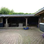 Rent 2 bedroom house of 80 m² in groningen