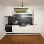 Rent 2 bedroom apartment of 52 m² in Graz