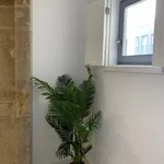 Rent 1 bedroom apartment in Porto