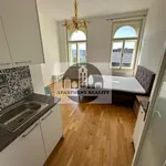 Rent 1 bedroom apartment of 27 m² in Praha