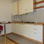 Rent 2 bedroom apartment of 40 m² in Firenze