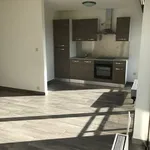 Rent 1 bedroom apartment in Morlanwelz