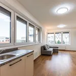 Pronajměte si 2 ložnic/e byt o rozloze 50 m² v Capital City of Prague