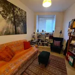 Rent 1 bedroom apartment of 50 m² in Roma