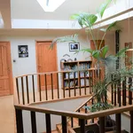 Rent 7 bedroom house of 240 m² in Debrecen