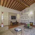 Rent 2 bedroom apartment of 50 m² in Firenze