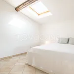 Rent 3 bedroom apartment of 80 m² in Pisa