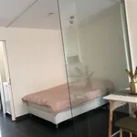 Rent 1 bedroom apartment in Leuven