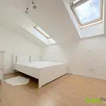 Pronajměte si 1 ložnic/e byt o rozloze 102 m² v Prague