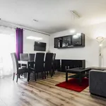 Rent 3 bedroom apartment of 72 m² in Wrocław