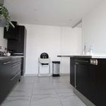 Rent 4 bedroom apartment of 101 m² in Villeurbanne