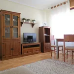 Rent 6 bedroom apartment in Burgos