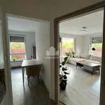 Rent 2 bedroom apartment of 50 m² in Toruń