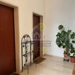 Rent 3 bedroom apartment of 86 m² in Cremona