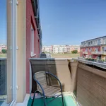 Rent 2 bedroom apartment of 53 m² in Brno