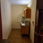 Rent 1 bedroom apartment of 46 m² in Brno