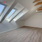 Rent 3 bedroom apartment of 118 m² in Trhový Štěpánov