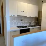 Rent 1 bedroom apartment of 35 m² in Roma