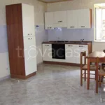 Rent 3 bedroom apartment of 75 m² in Velletri