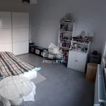 Rent 2 bedroom apartment of 45 m² in Toruń