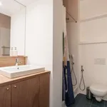 Rent 1 bedroom apartment of 60 m² in milan