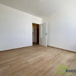 Rent 2 bedroom apartment in Brno