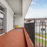 Rent 4 bedroom student apartment of 23 m² in Frankfurt