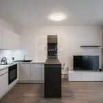 Rent 1 bedroom apartment of 29 m² in Prague