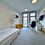 Rent 4 bedroom apartment of 191 m² in Poznan