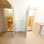 Pronajměte si 2 ložnic/e byt o rozloze 70 m² v Prague