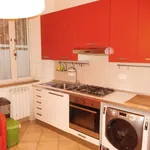 Rent 3 bedroom apartment of 40 m² in Pisa