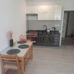 Rent 1 bedroom apartment in České Budějovice