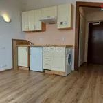 Rent 1 bedroom apartment of 20 m² in Capital City of Prague