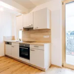 Rent 3 bedroom apartment of 66 m² in Graz