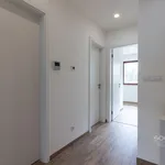 Rent 4 bedroom house in Praha - východ