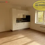 Rent 1 bedroom apartment in Kroměříž