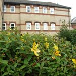 Rent 1 bedroom flat in East Midlands