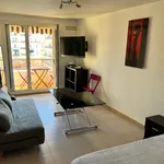 Appartement de 29 m² avec 1 chambre(s) en location à NICET