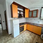 Rent 2 bedroom apartment of 60 m² in Biella