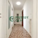 Rent 2 bedroom apartment of 50 m² in Turin