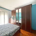 Rent 2 bedroom apartment of 50 m² in Turin