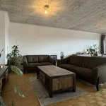 Rent 1 bedroom apartment in Antwerp