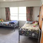 Rent 3 bedroom house in New Plymouth