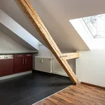 Einzigartige Dachwohnung mit Loftcharakter