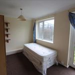 Rent 1 bedroom house in  Shepherds Road - Winnal