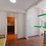 Rent 4 bedroom apartment of 100 m² in Roma